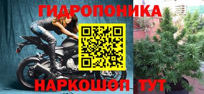 ПСИЛОЦИБИНОВЫЕ ГРИБЫ Рязань