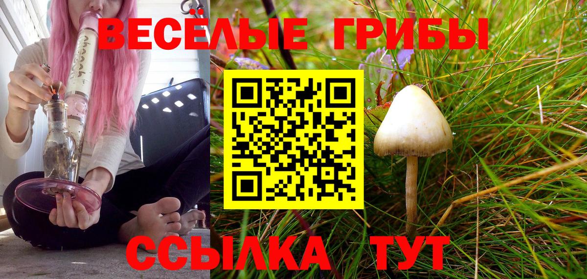Псилоцибиновые грибы GOLDEN TEACHER  Псилоцибиновые грибы MAGIC MUSHROOMS  Саянск  Вход с VPN 
